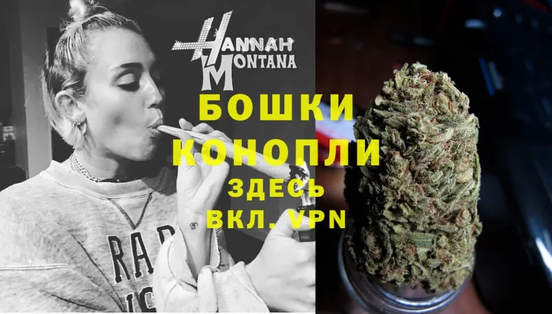 Бошки Шишки OG Kush  как найти наркотики  Бокситогорск 